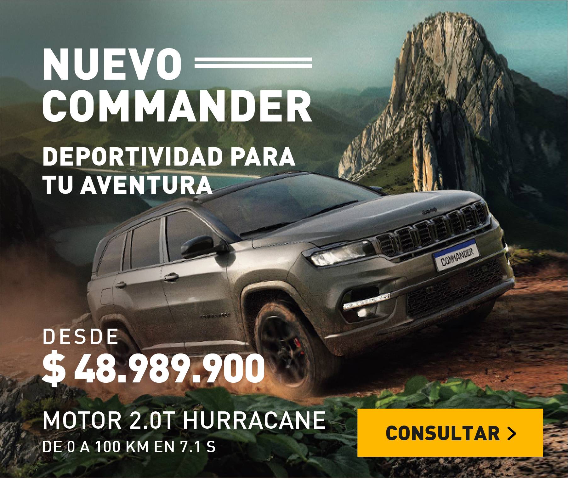 COMMANDER
